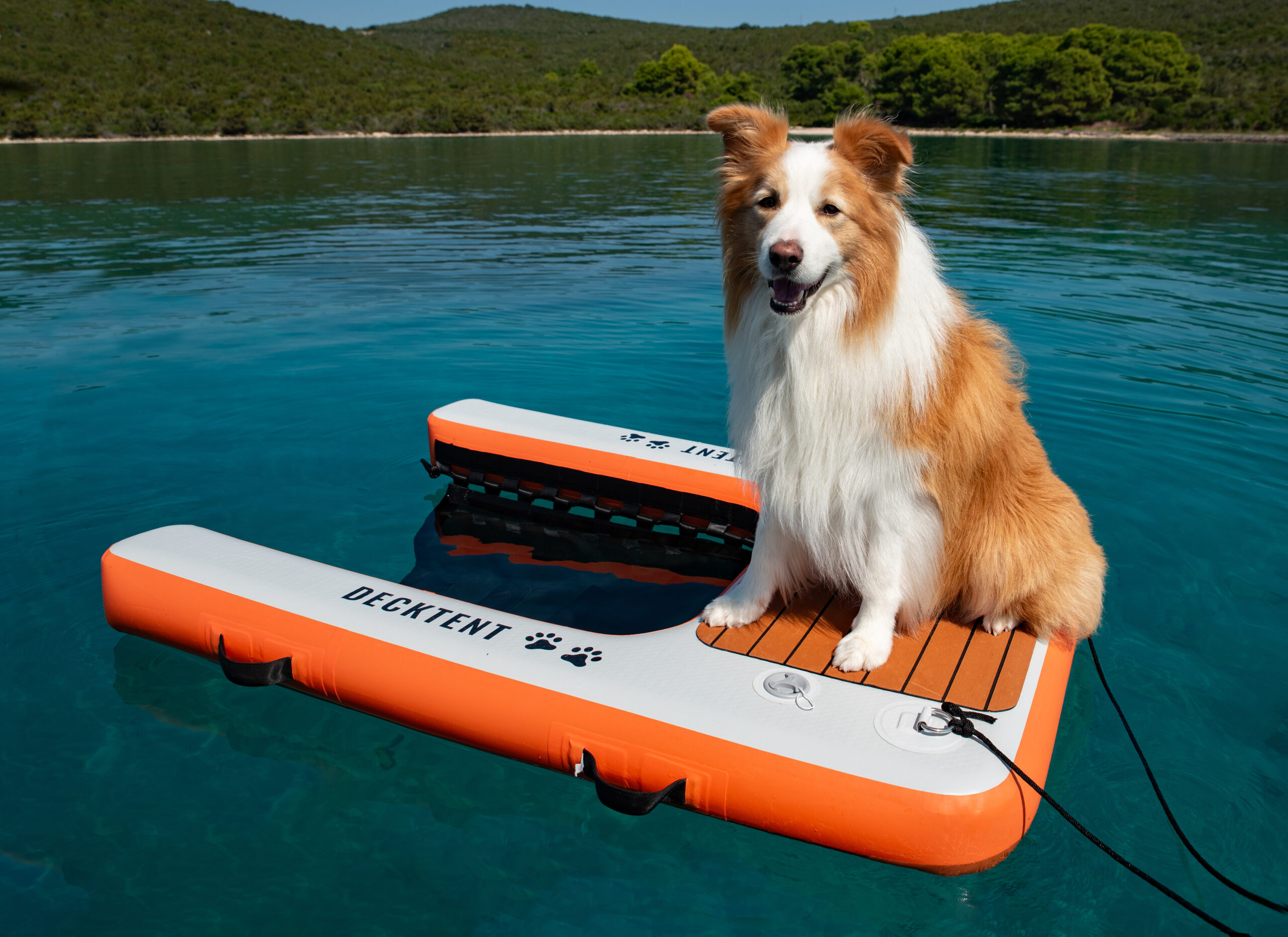 Dog_Ramp